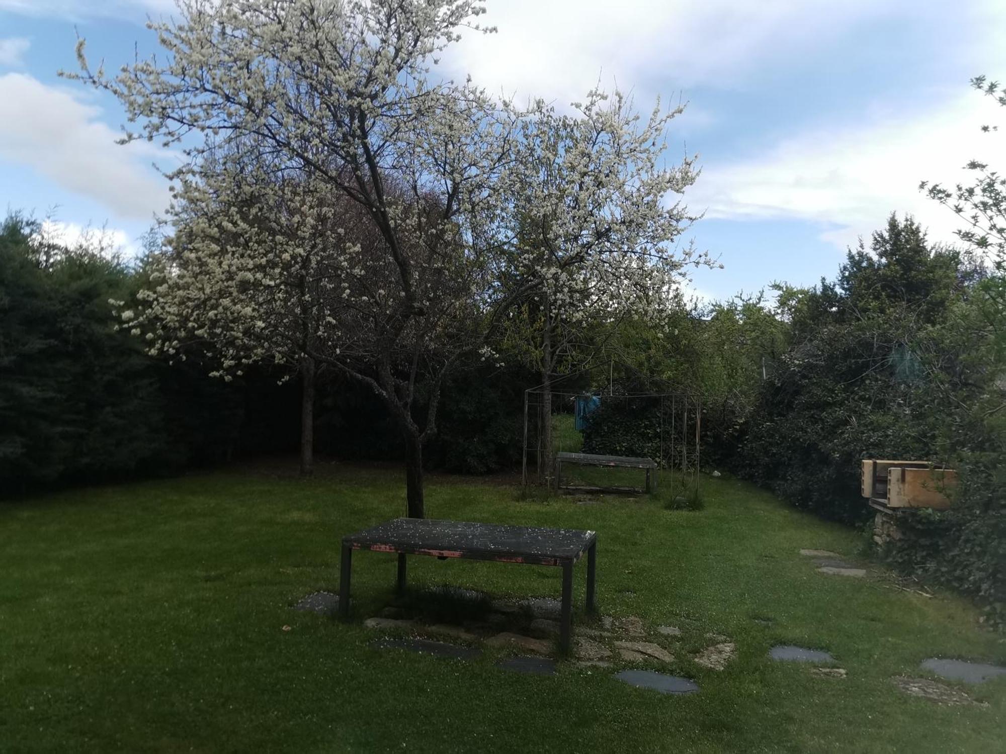 Apartamentos Rurales Alvado Tamajon 외부 사진